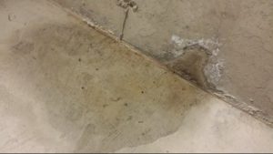 Leaking foundation crack