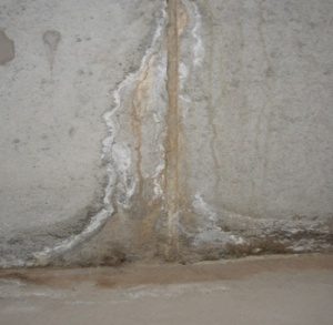 Leaking foundation crack with staining