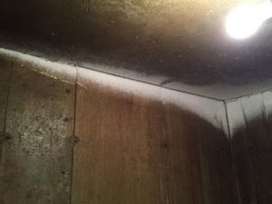 visible frost in cold cellar resulting from condensation