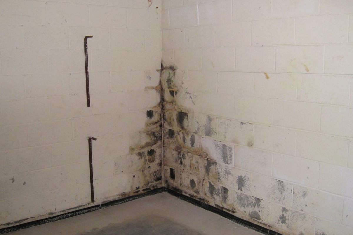 When High Humidity In Your Basement Is A Problem When High Humidity In Your Basement Is, How To Lower Humidity In My Basement