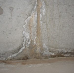 Image of foundation crack with soil and mineral staining