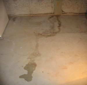 Staining on the floor from a leaking crack in the basement foundation