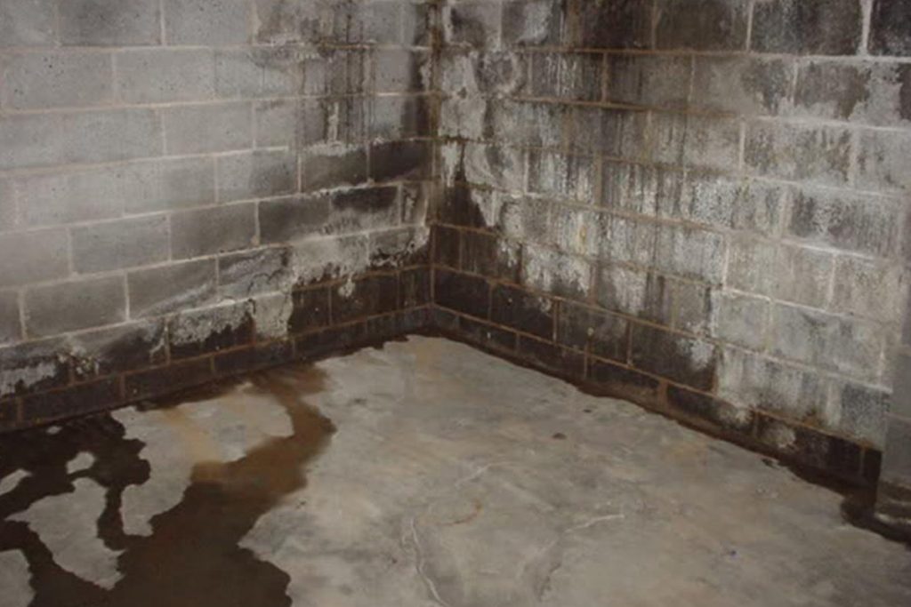 Damp Basement Causes Solutions And, How To Fix A Humid Basement