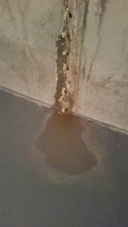 Leaking crack with sediment staining