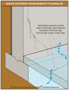 When the water table is high, water pressure will force water upwards through the path of least resistance