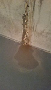 Foundation crack that has been leaking for some time