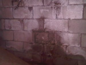 Water saturated cinder-block foundation wall