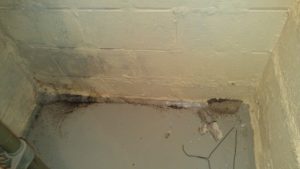 Staining from a basement leak