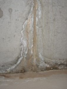 Image of a leaking foundation crack with efflorescence and mud stains