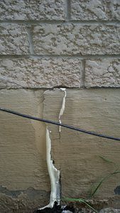 Polyurethane resin expanding through a foundation wall crack