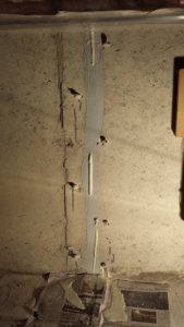 Polyurethane expanding out of a foundation crack