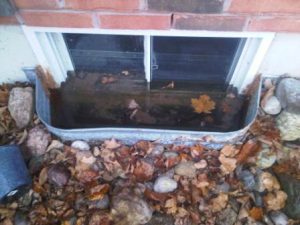 Window wells frequently fill up with rain water