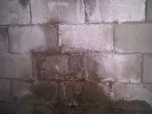 Wet concrete block wall